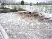 Belüftungskreisel auf den alten Belebungsbecken Belüftungskreisel auf den alten Belebungsbecken