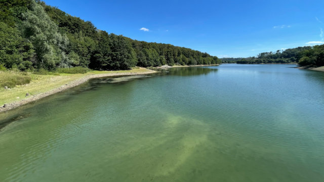Blaualgen Lingese-Talsperre Blaualgen Lingese-Talsperre