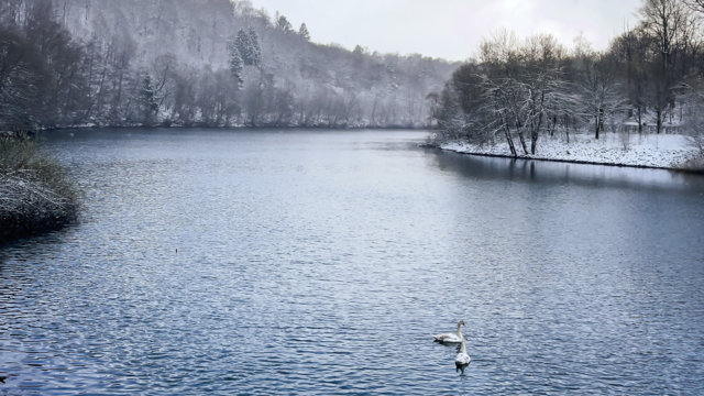 Wupper-Talsperre mit leichtem Schnee und Schwänen Wupper-Talsperre mit leichtem Schnee und Schwänen