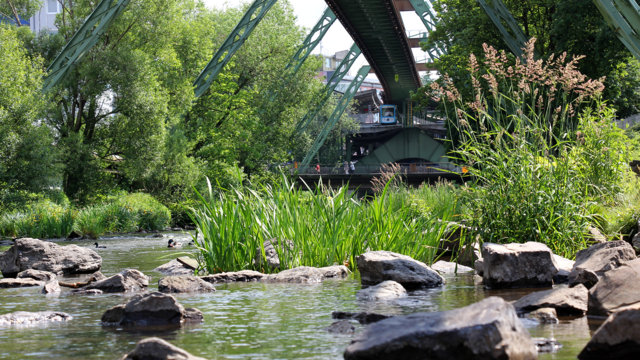 Vom Abwasserfluss zum Lebensraum