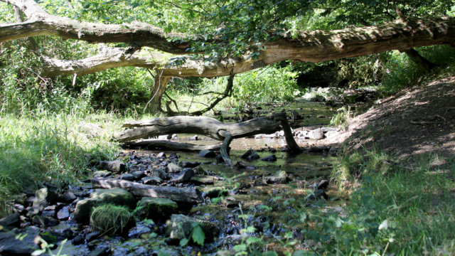 Murmelbach von der Quelle bis zur Mndung