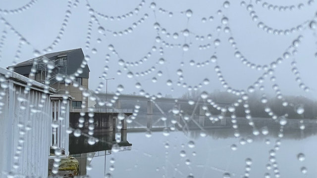 Regen Wupper-Talsperre Spinnennetz Regen Wupper-Talsperre Spinnennetz